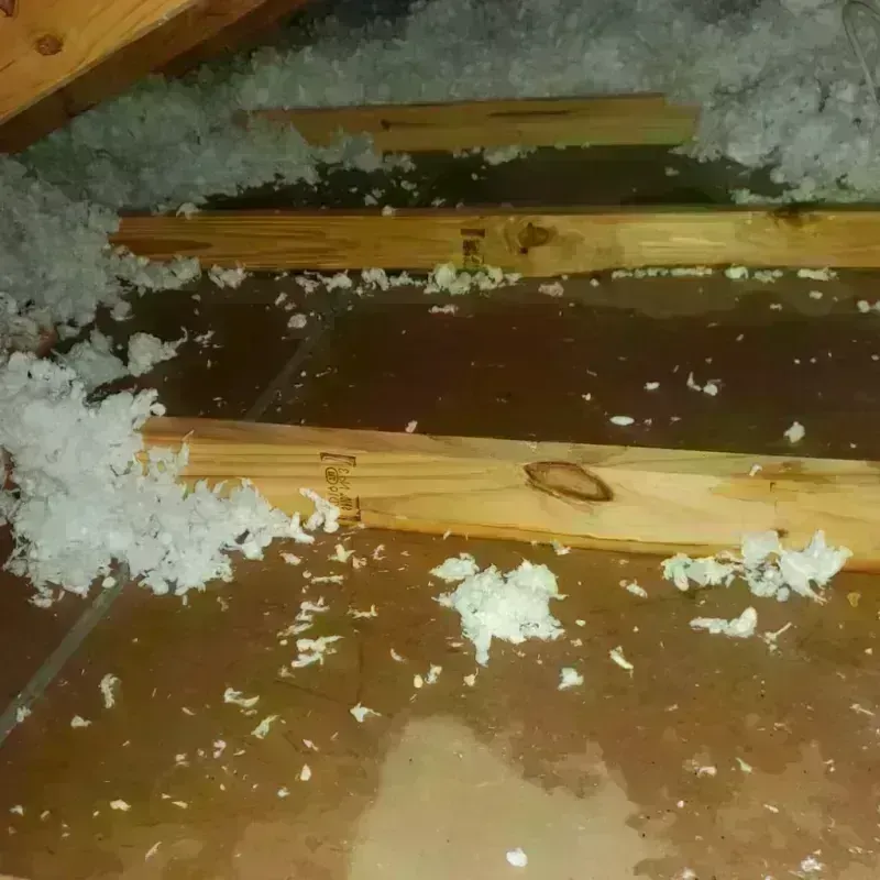 Attic Water Damage in Newport, OH