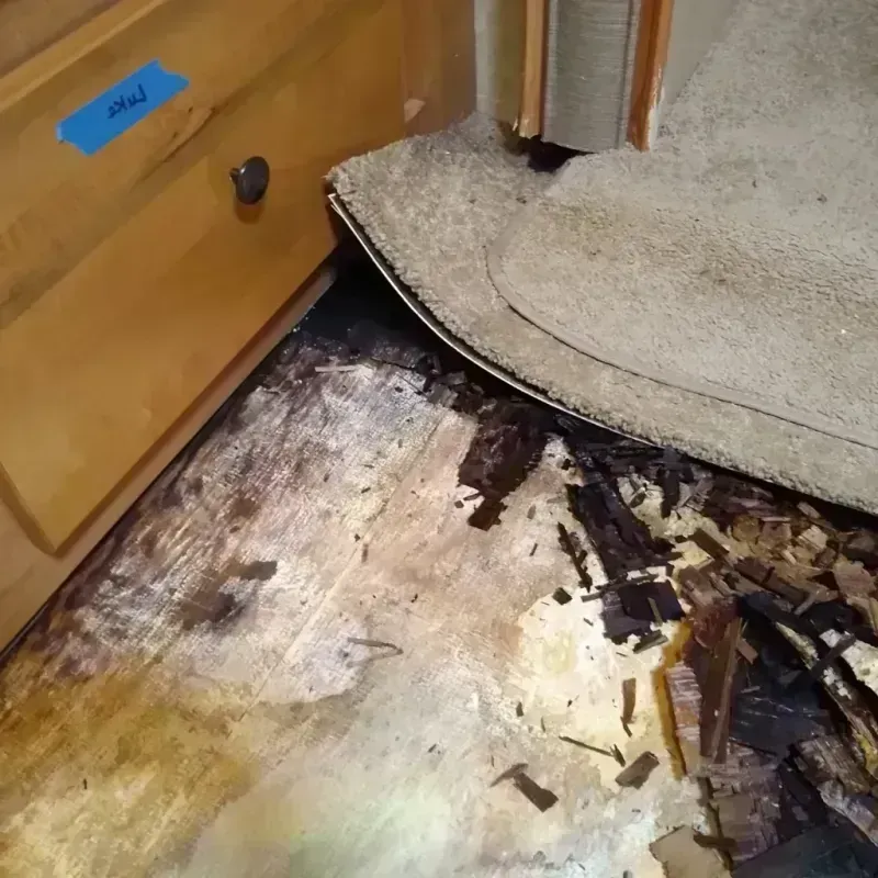 Wood Floor Water Damage in Newport, OH